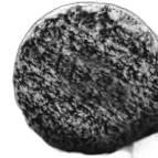 Uro-Fiber 50/50 Black/White 3" (2 pack)